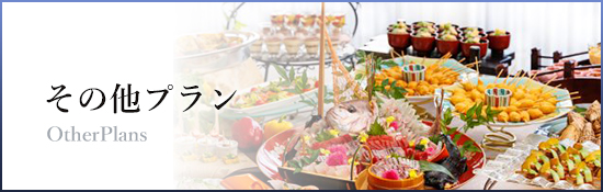 その他プラン